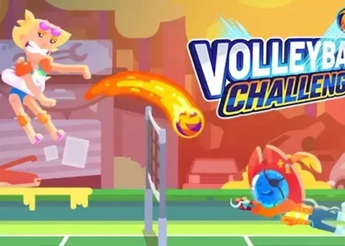 Volleyball Challenge